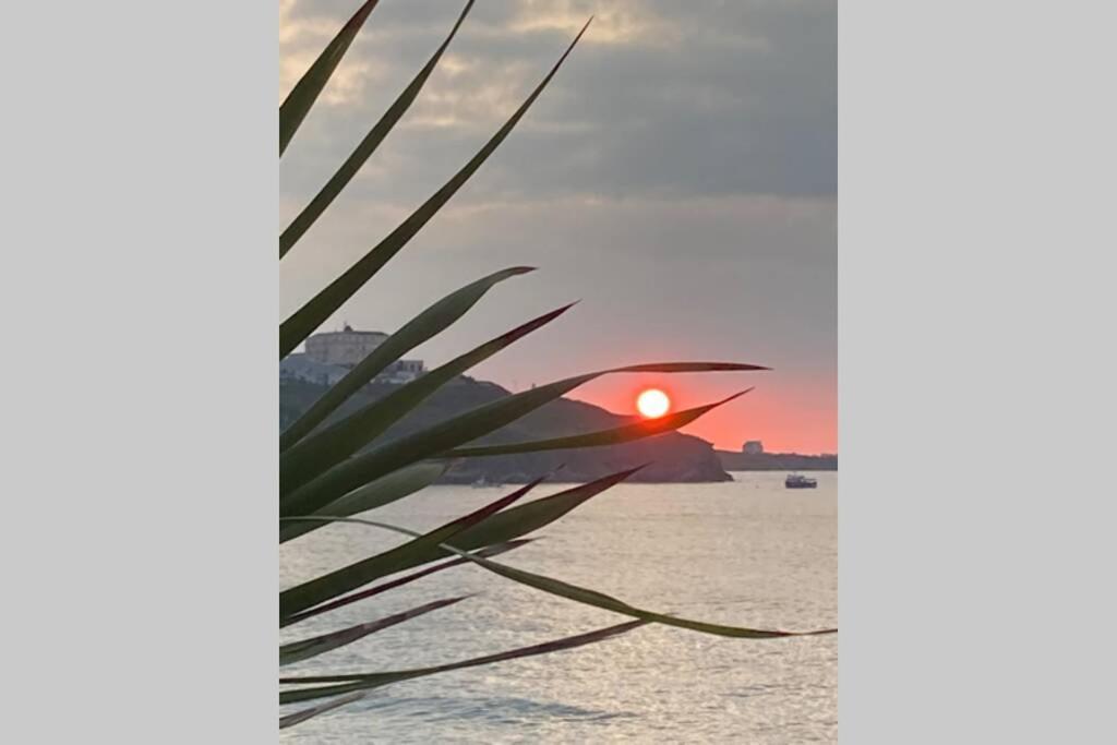 Beautiful 3 Bedroom Apartment By The Sea New Quay Εξωτερικό φωτογραφία